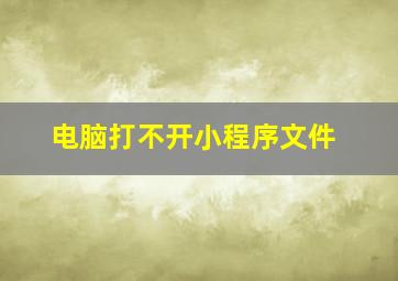 电脑打不开小程序文件