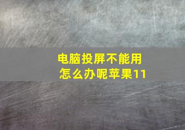 电脑投屏不能用怎么办呢苹果11