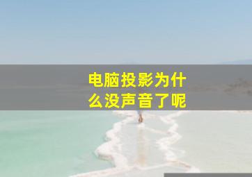 电脑投影为什么没声音了呢