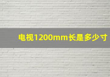 电视1200mm长是多少寸