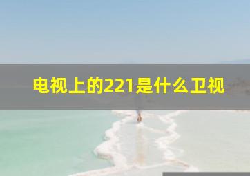 电视上的221是什么卫视