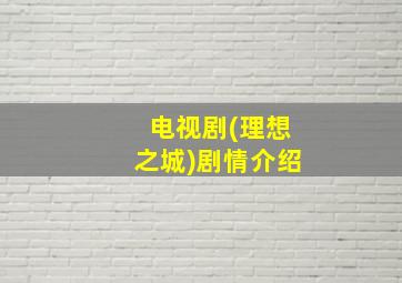 电视剧(理想之城)剧情介绍