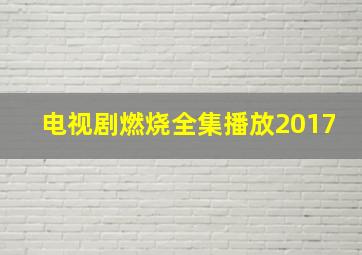 电视剧燃烧全集播放2017