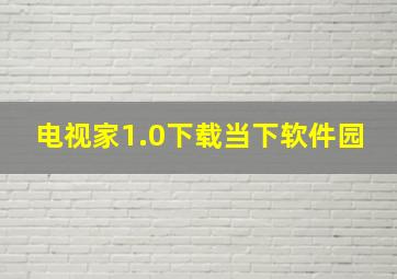 电视家1.0下载当下软件园