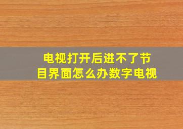 电视打开后进不了节目界面怎么办数字电视