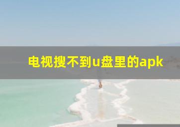 电视搜不到u盘里的apk