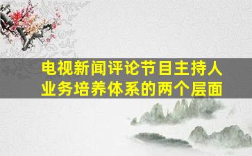 电视新闻评论节目主持人业务培养体系的两个层面