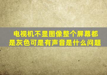 电视机不显图像整个屏幕都是灰色可是有声音是什么问题