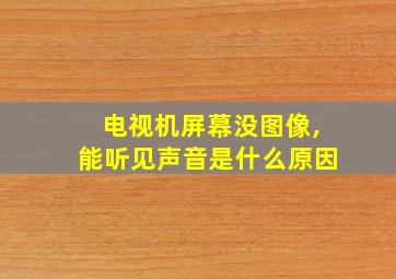 电视机屏幕没图像,能听见声音是什么原因