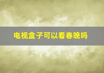 电视盒子可以看春晚吗