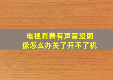 电视看着有声音没图像怎么办关了开不了机