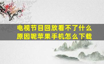 电视节目回放看不了什么原因呢苹果手机怎么下载