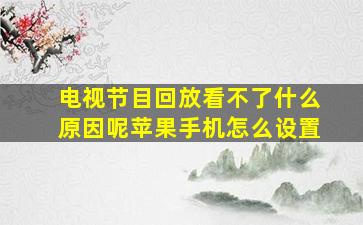 电视节目回放看不了什么原因呢苹果手机怎么设置