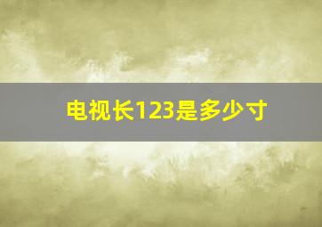 电视长123是多少寸