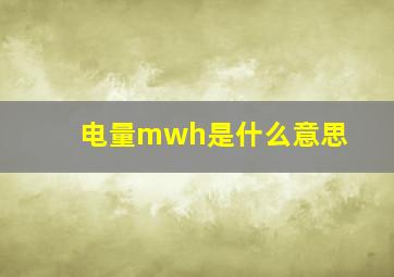 电量mwh是什么意思