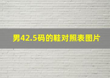 男42.5码的鞋对照表图片