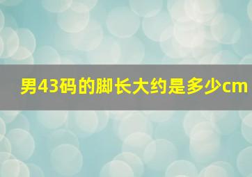 男43码的脚长大约是多少cm