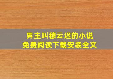 男主叫穆云迟的小说免费阅读下载安装全文