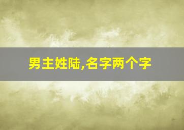 男主姓陆,名字两个字