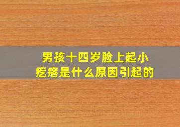 男孩十四岁脸上起小疙瘩是什么原因引起的