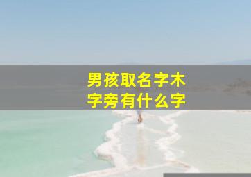 男孩取名字木字旁有什么字