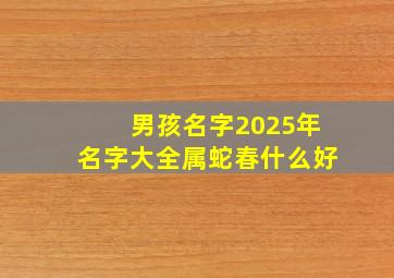 男孩名字2025年名字大全属蛇春什么好