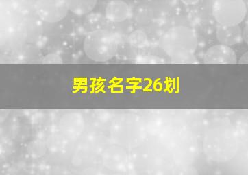 男孩名字26划