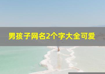 男孩子网名2个字大全可爱