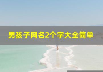 男孩子网名2个字大全简单