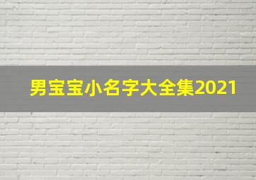 男宝宝小名字大全集2021