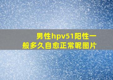 男性hpv51阳性一般多久自愈正常呢图片