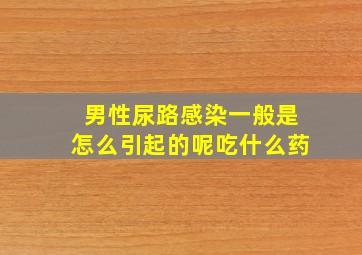 男性尿路感染一般是怎么引起的呢吃什么药