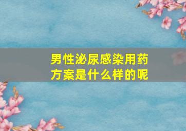 男性泌尿感染用药方案是什么样的呢