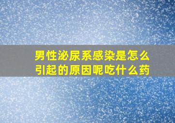 男性泌尿系感染是怎么引起的原因呢吃什么药