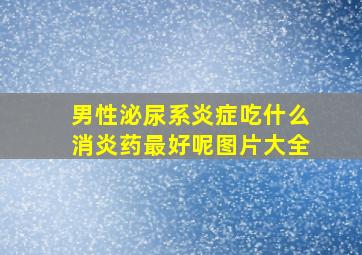 男性泌尿系炎症吃什么消炎药最好呢图片大全