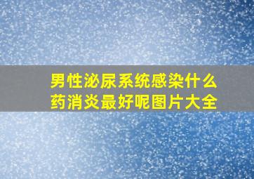 男性泌尿系统感染什么药消炎最好呢图片大全