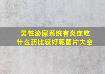 男性泌尿系统有炎症吃什么药比较好呢图片大全