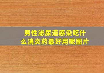 男性泌尿道感染吃什么消炎药最好用呢图片