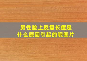 男性脸上反复长痘是什么原因引起的呢图片