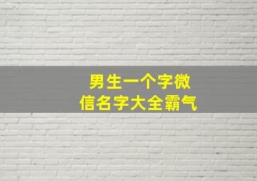 男生一个字微信名字大全霸气