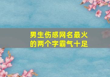 男生伤感网名最火的两个字霸气十足