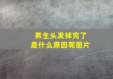 男生头发掉完了是什么原因呢图片