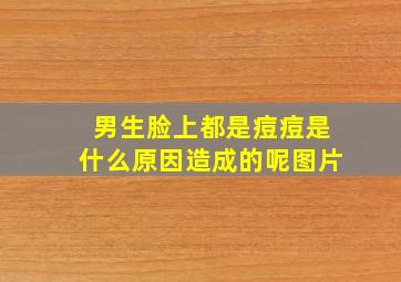 男生脸上都是痘痘是什么原因造成的呢图片