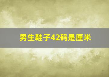 男生鞋子42码是厘米