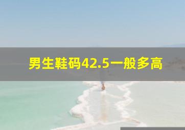 男生鞋码42.5一般多高