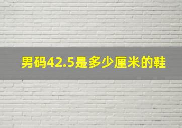 男码42.5是多少厘米的鞋