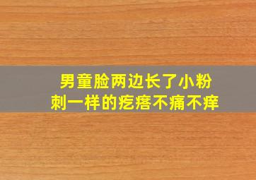 男童脸两边长了小粉刺一样的疙瘩不痛不痒