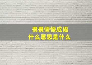 畏畏懦懦成语什么意思是什么