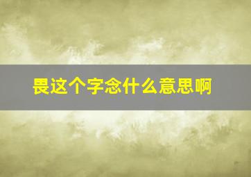 畏这个字念什么意思啊