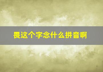 畏这个字念什么拼音啊